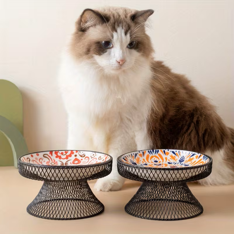 Catson Boho