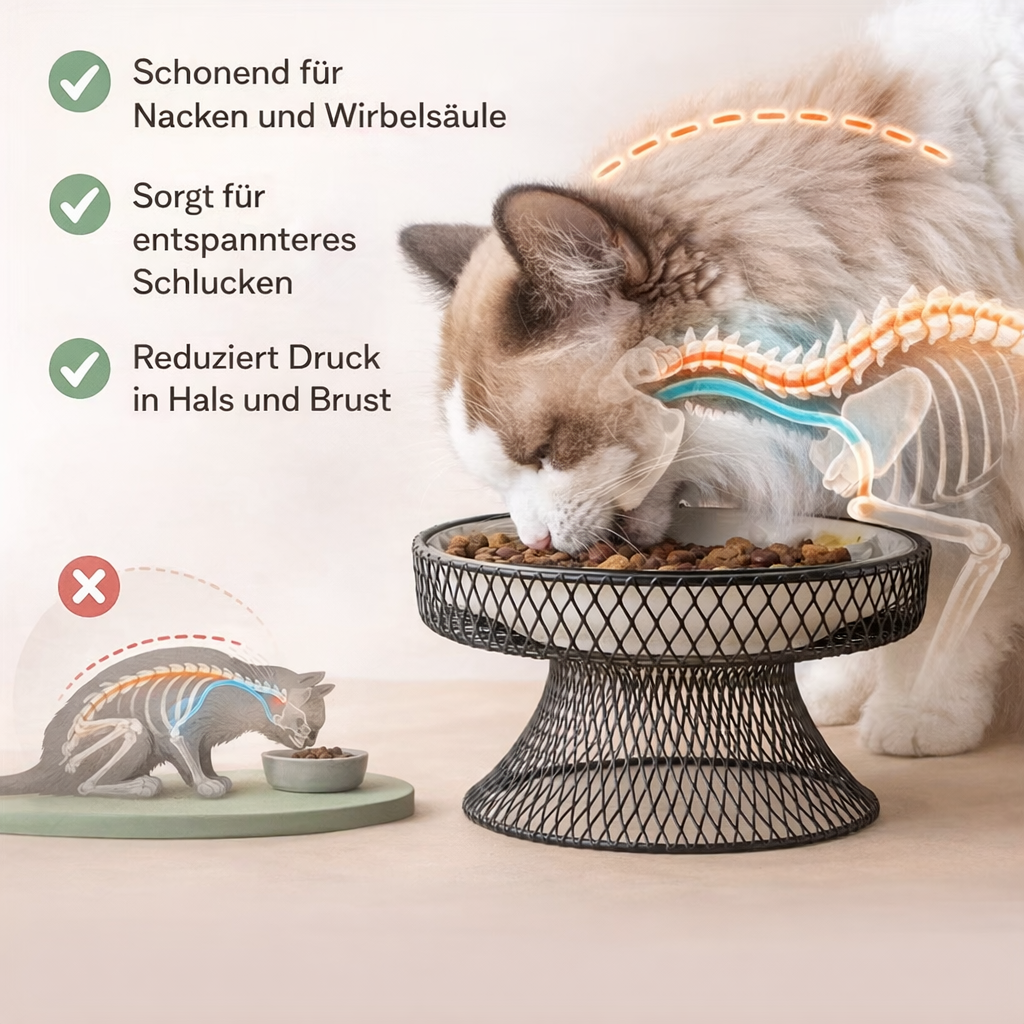 Catson · Boho Bowl