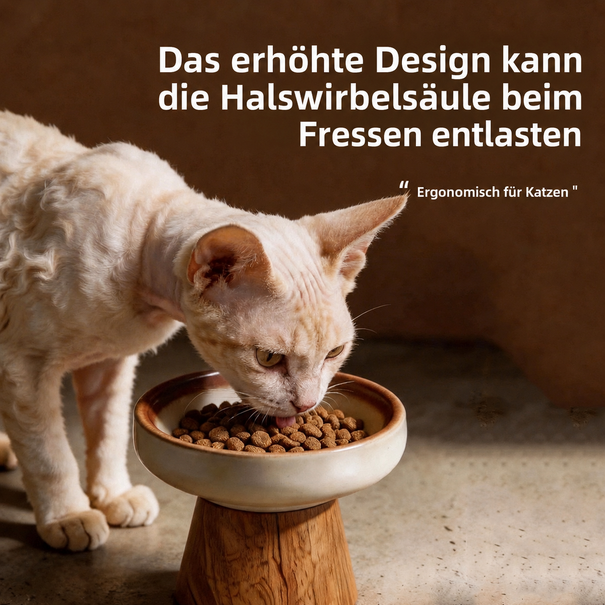 Katze frisst aus einem erhöhten Catson OakBowl™ Keramik-Futternapf auf Massivholzständer für eine angenehmere Fressposition