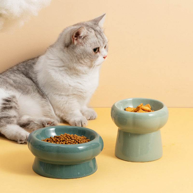 Katze neben zwei Catson Tango™ Keramik-Futternäpfen in Hellgrün und Dunkelgrün mit Trockenfutter
