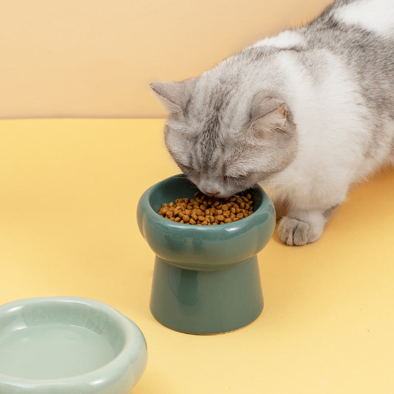Katze frisst Trockenfutter aus einem erhöhten Catson Tango™ Keramik-Futternapf in Dunkelgrün
